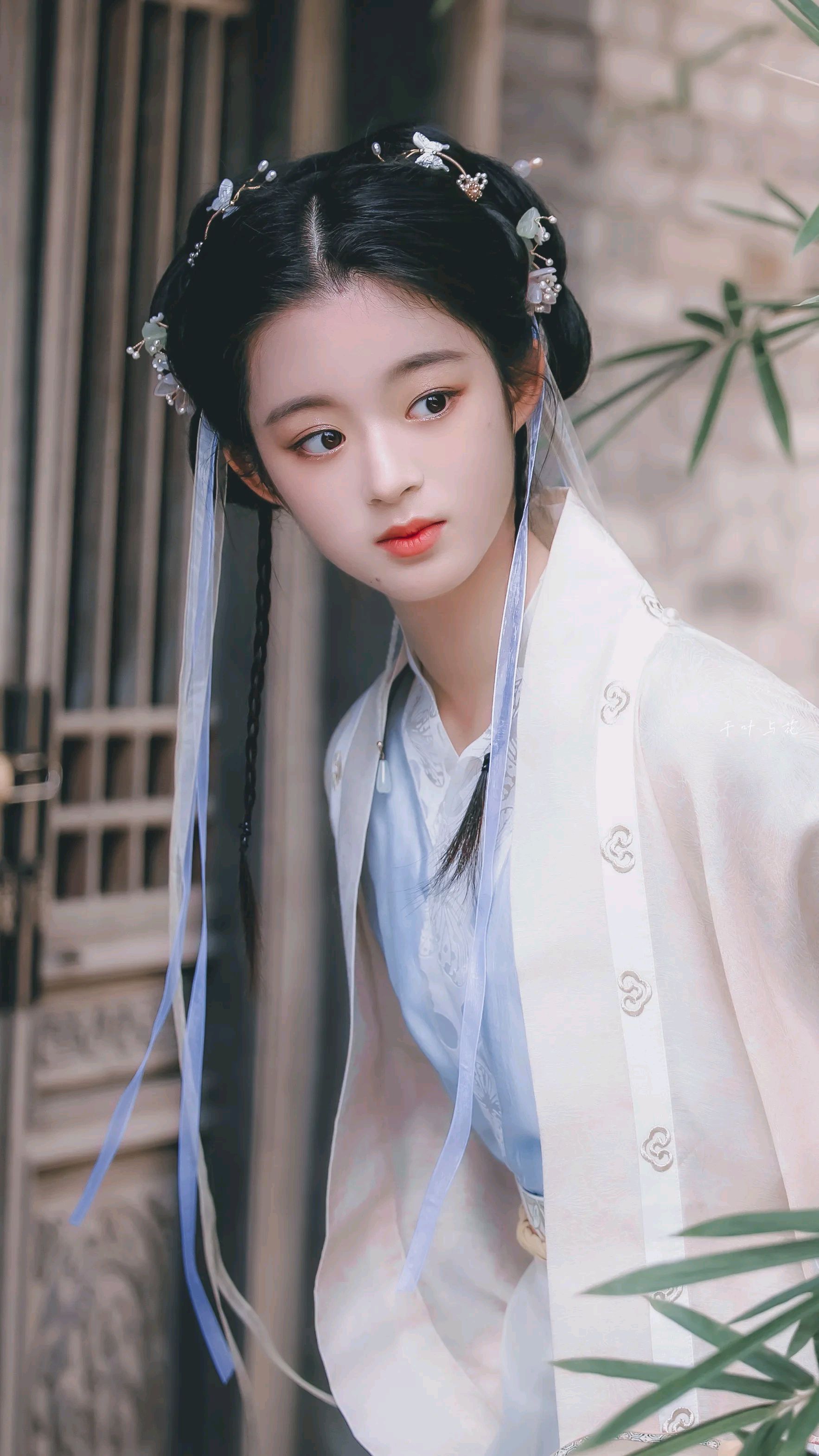 精美图集|黄杨钿甜精致甜美,未来可期