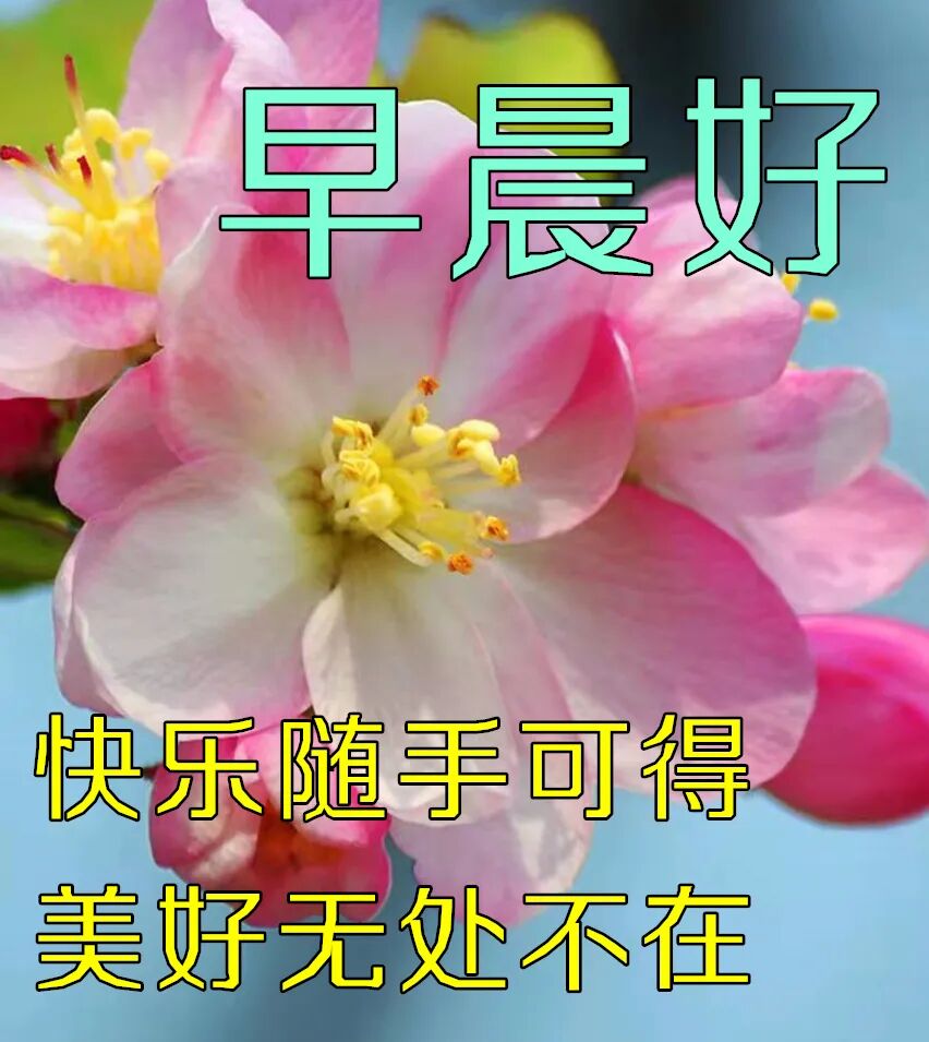 9张最新防护疫情早安问候祝福图片精选周二非常时期关心问候早上好