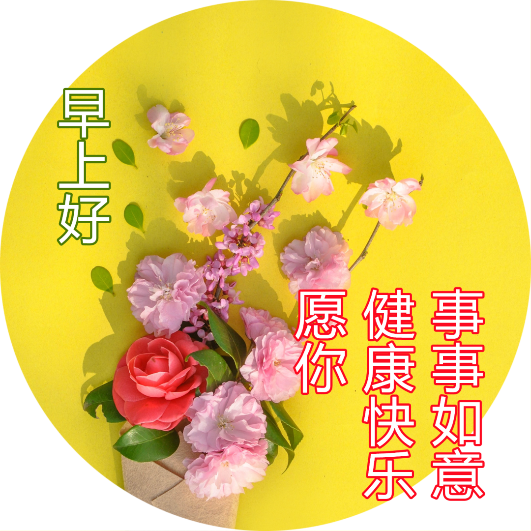 最新版漂亮早安图片鲜花带字,最美早上好问候语图片带字温馨