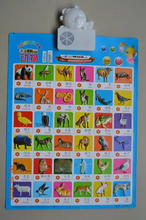 供应有声挂图 语音挂图 (动物篇)