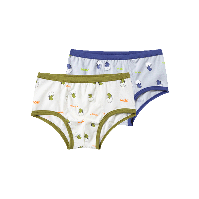 巴拉巴拉男童三角裤(2条装)春秋款儿童内裤舒适柔软206121170103