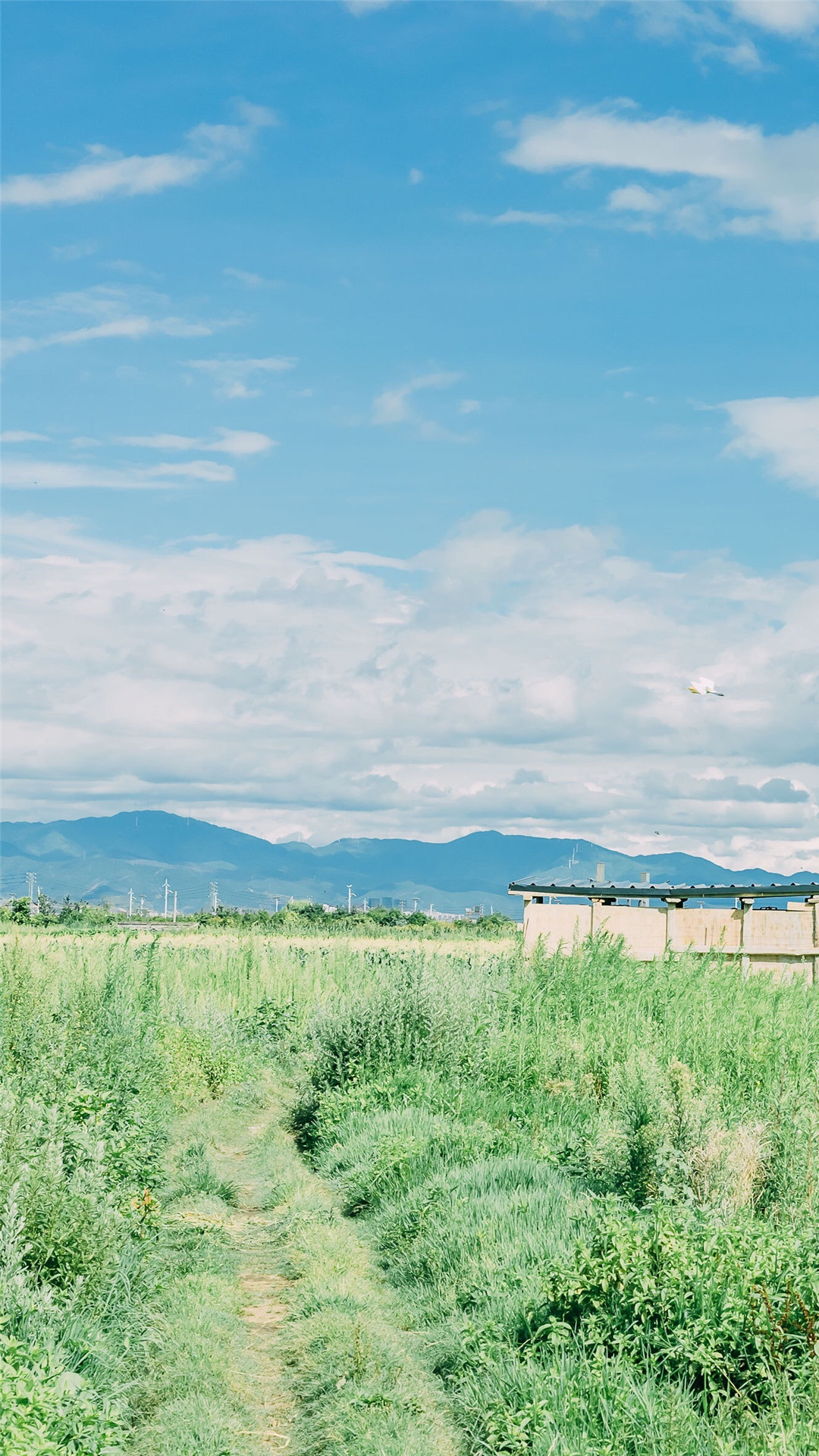 乡间清新风景图片手机壁纸