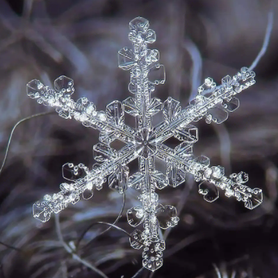 2023最新晶莹剔透雪花风景头像_风景静物头像_我要个性网