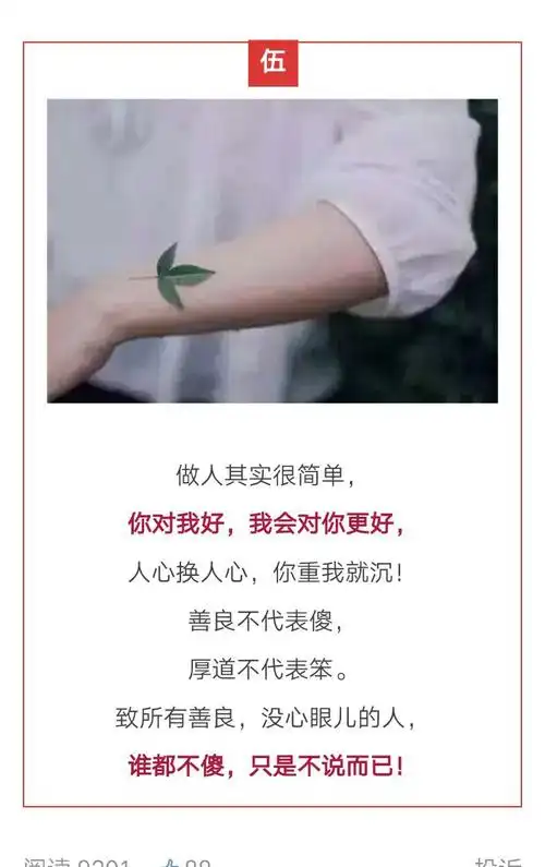 写给傻傻的自己