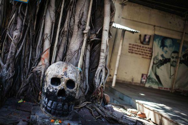 印度"食尸族",生吃腐尸和排泄物,痛饮恒河水,他们寿命有多长