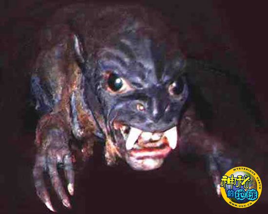 世界各地神秘怪兽揭密