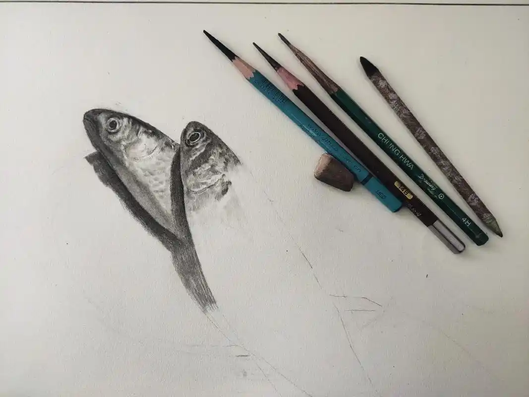 鱼的写实素描.#艺术 #素描画 # - 抖音