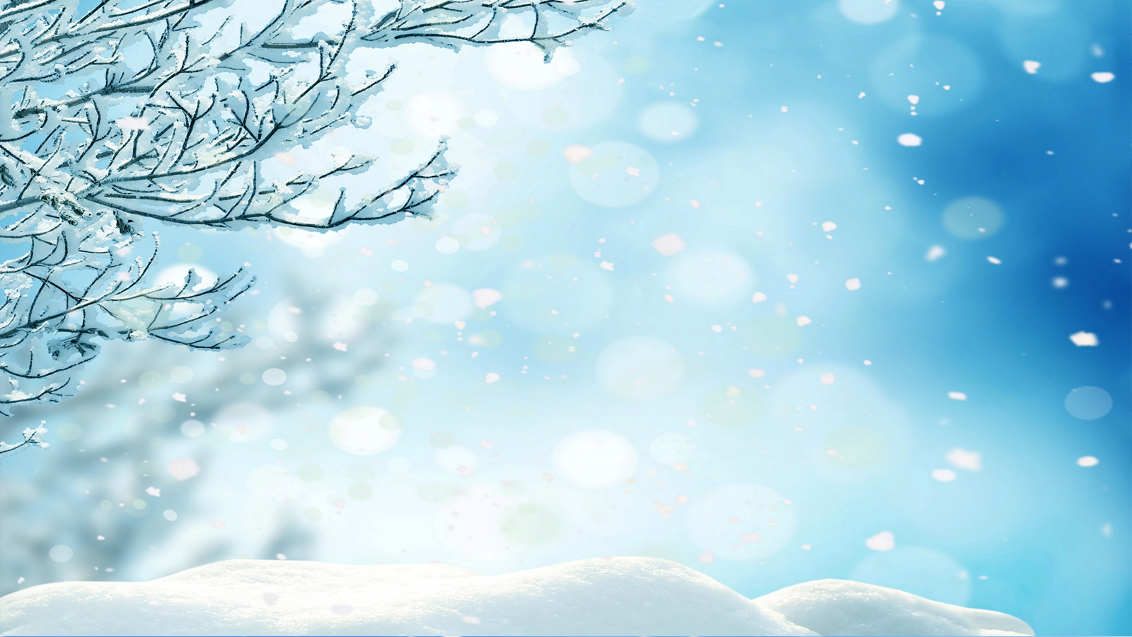 冬日唯美雪景摄影图片桌面壁纸