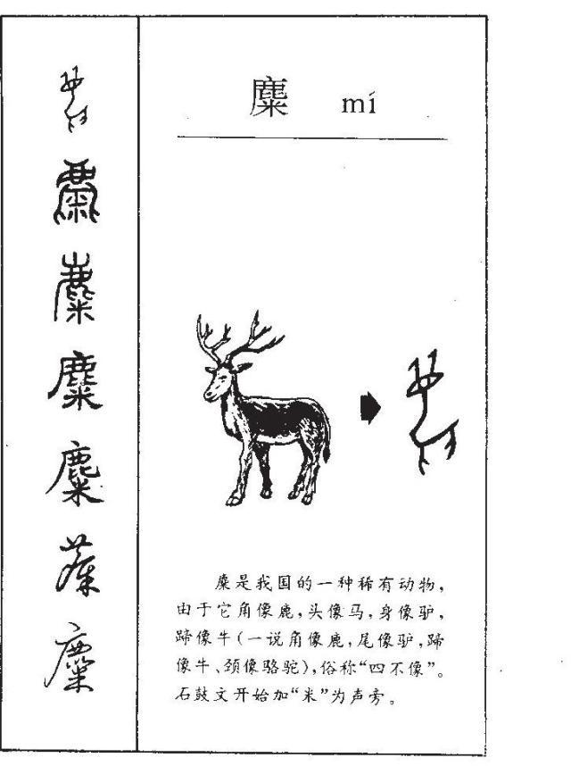 有趣的甲骨文字"麋",是后世认定的四不像,还是对鹿的误读?