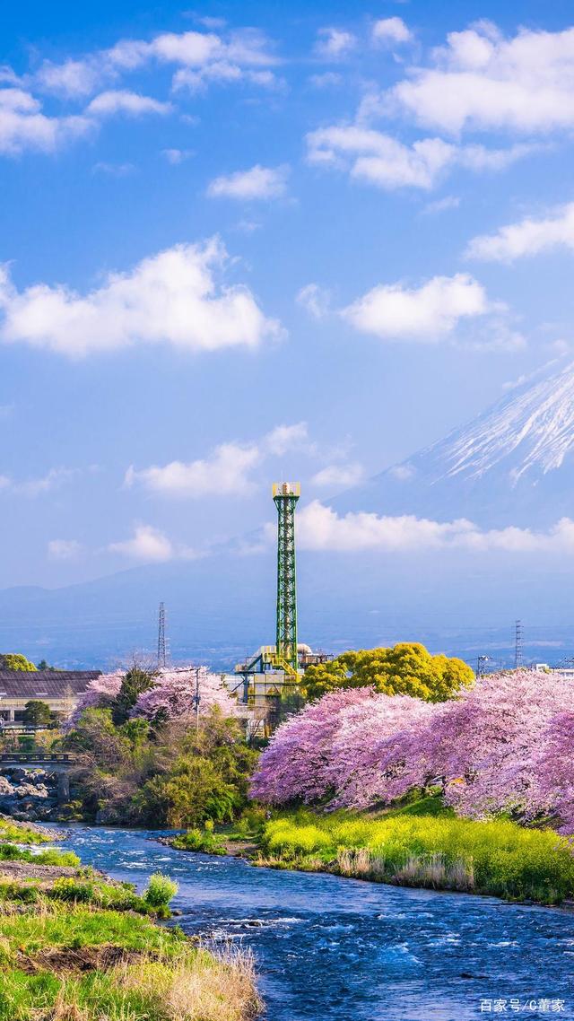 夏天迷人的景色