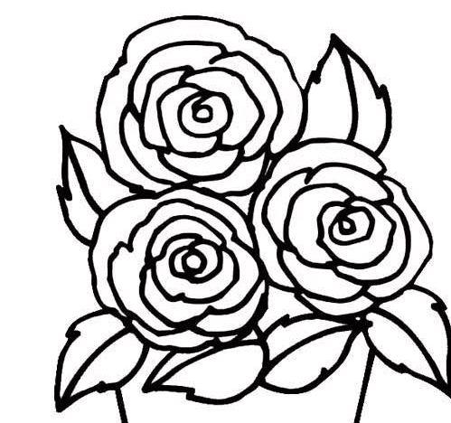 画花花的简笔画一朵漂亮的六瓣花简笔画图片花卉简笔画简单漂亮的花朵