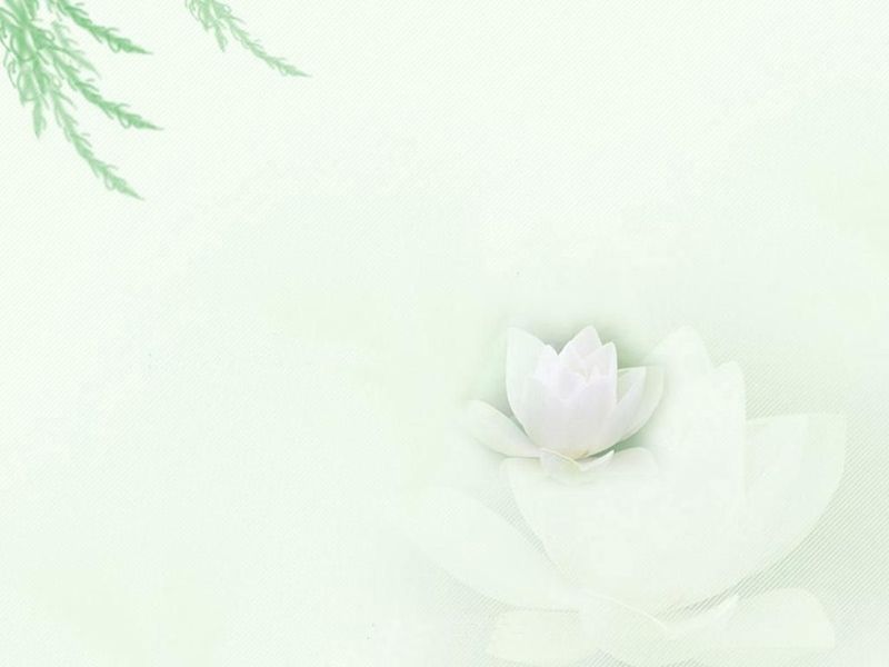 ppt唯美淡雅背景