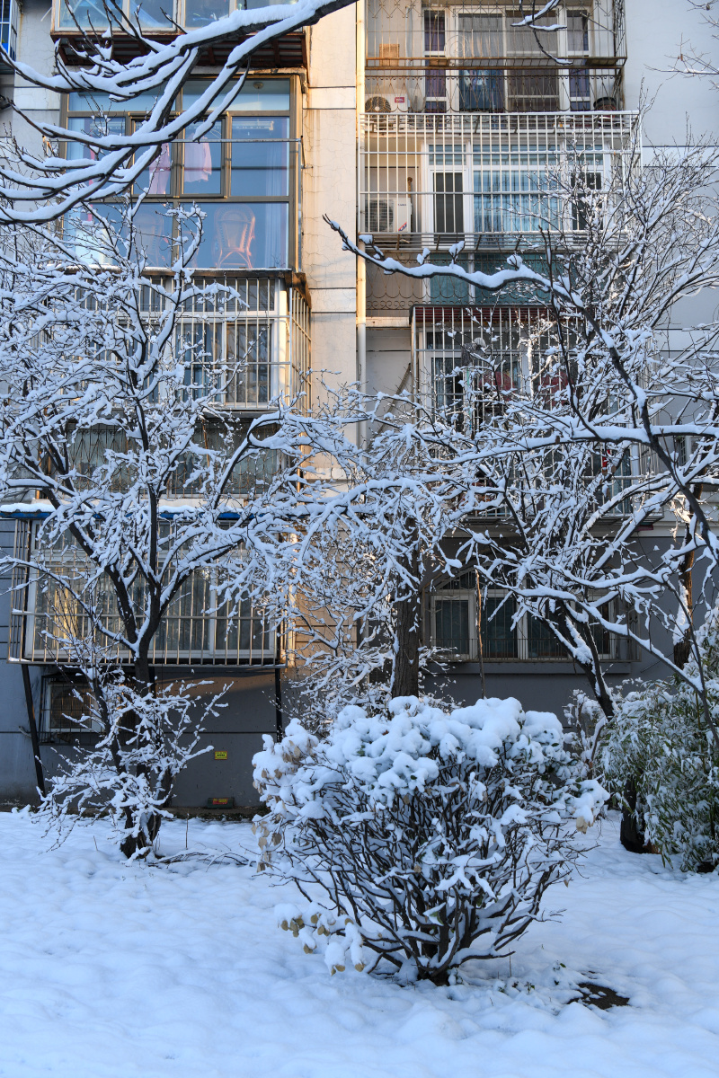城市雪景 - 淡淡的紫214 - 图虫
