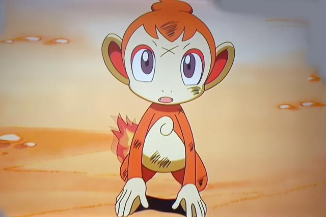 神奇宝贝也需要根据适性配主人,真司小智的小火焰猴就是一个例子