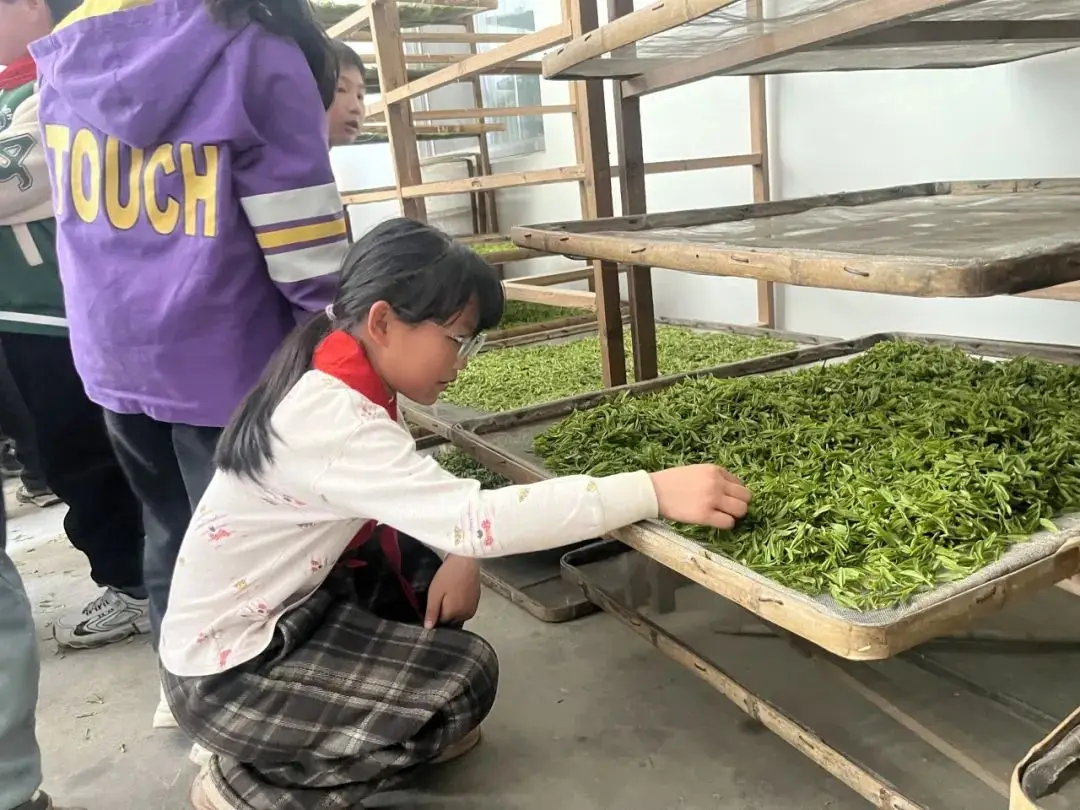 春季研学丨开化县林山乡中心小学走进春天的课堂