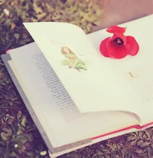 繁花书境唯美图片_书中的繁花世界