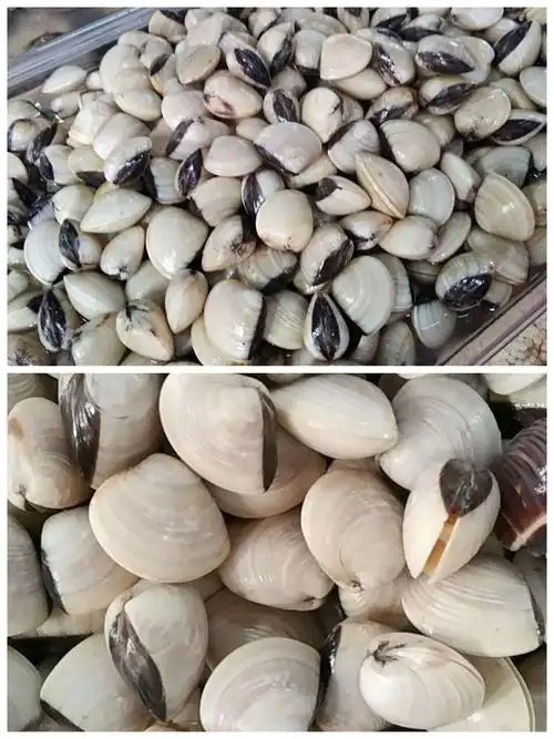 白螺 煮汤,煮面