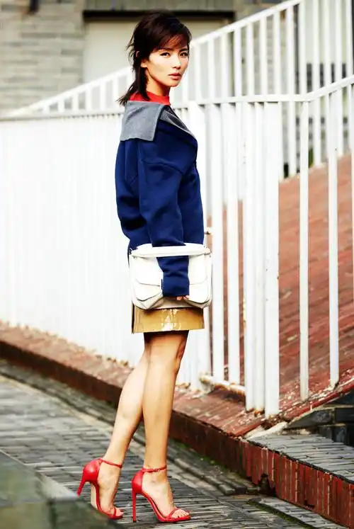 引用 美女明星 刘涛