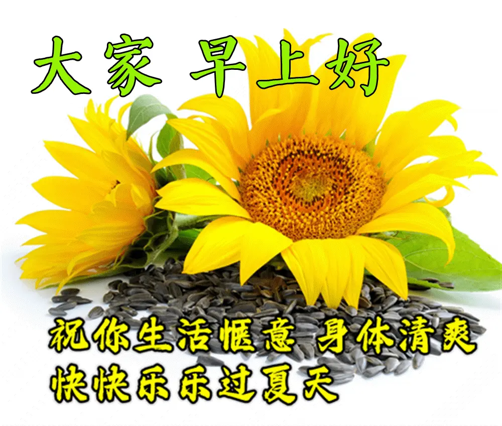 问候大家早上好动图表情2022,清晨祝福早上好问候语温馨语录_生命