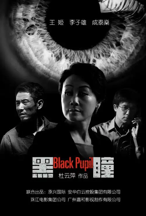 2015-11-10[黑瞳 blackpupil][hd-1080p.mp4][国语中字/1.
