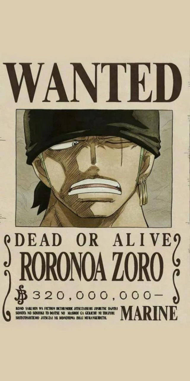 动漫壁纸:海贼王路飞悬赏金海报手机壁纸,可爱的乔巴值100块