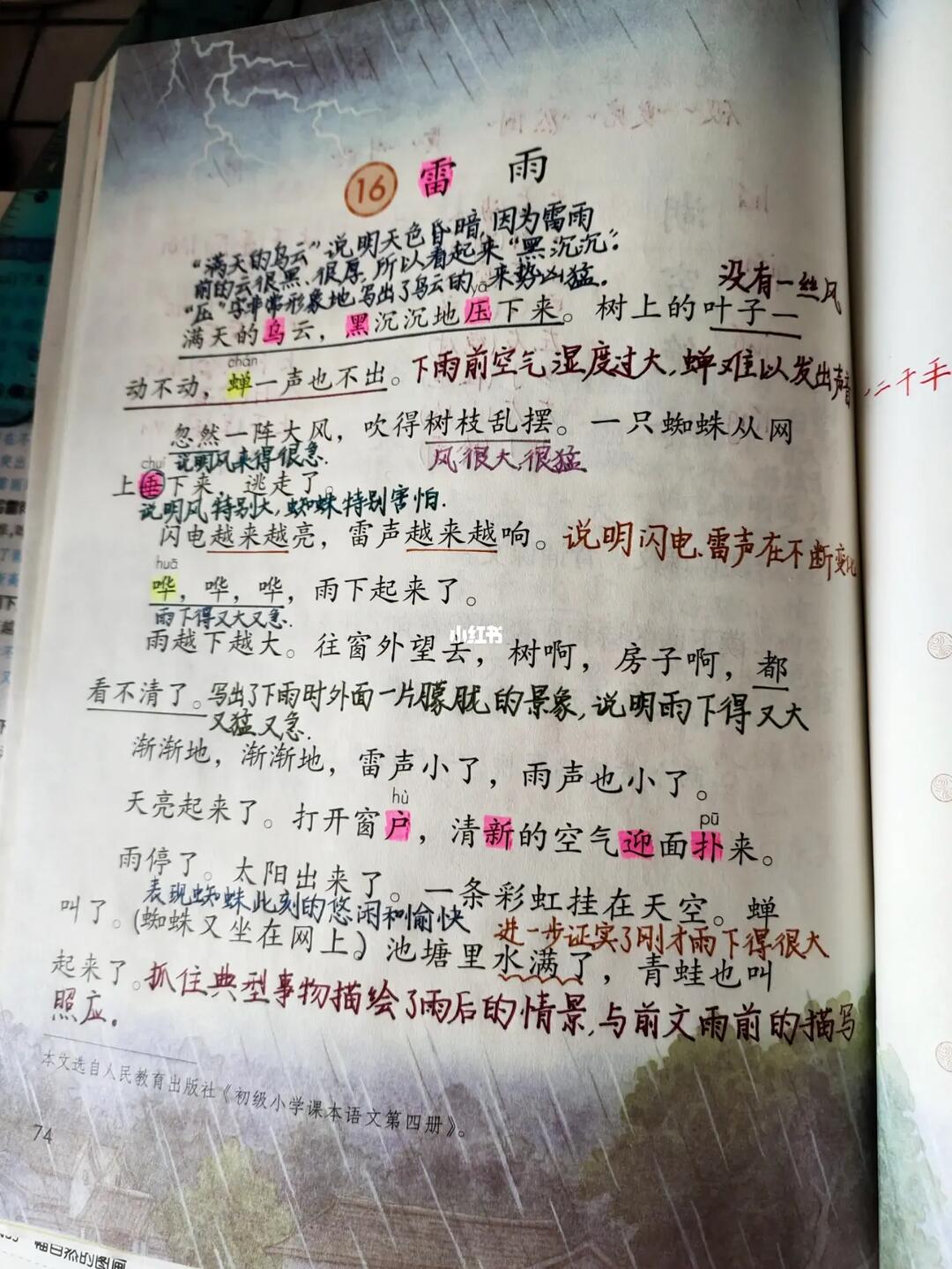 备课|二下语文第16课《雷雨》