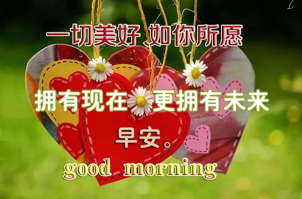 早上好问候语阳光句子特别漂亮的早上好图片发朋友圈