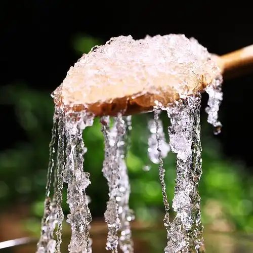 云品食肴缅甸野生雪燕50g 天然植物燕窝雪莲汁 搭配桃胶皂角米