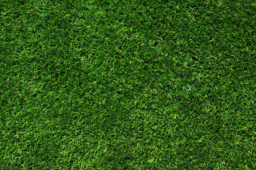 纹理绿色草坪,绿草的背景.纹理绿色草坪