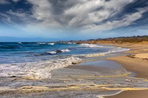 华人聚集圣地--旧金山湾区
