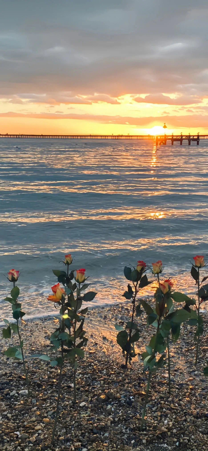 浪漫的晚霞壁纸