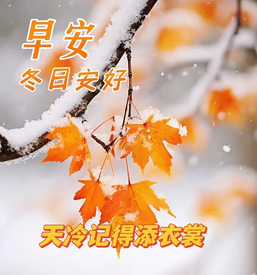 周四早上好,最新版清晨最新早安祝福创意表情包图片带字带问候语录