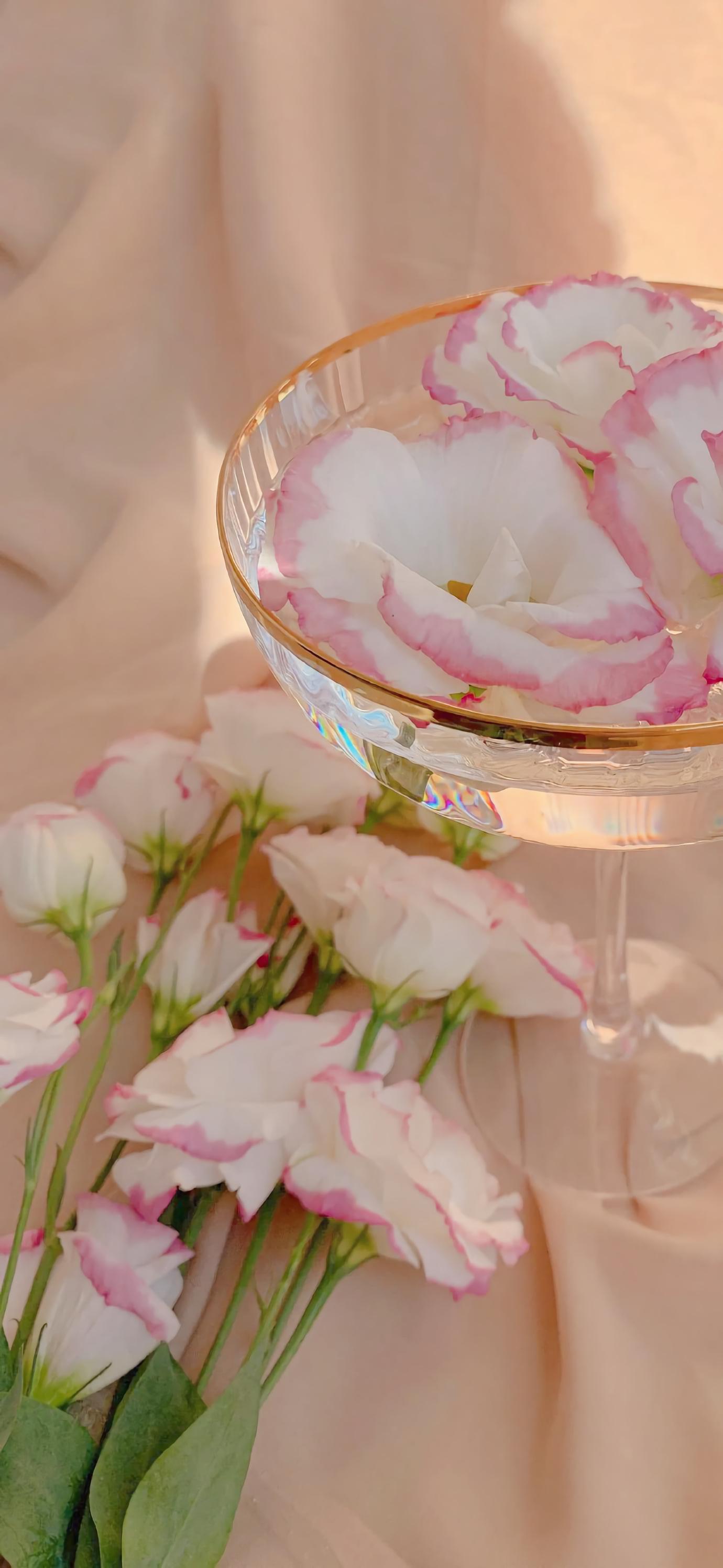 2021最潮手机壁纸最流行好看的女生iphone锁屏壁纸高清