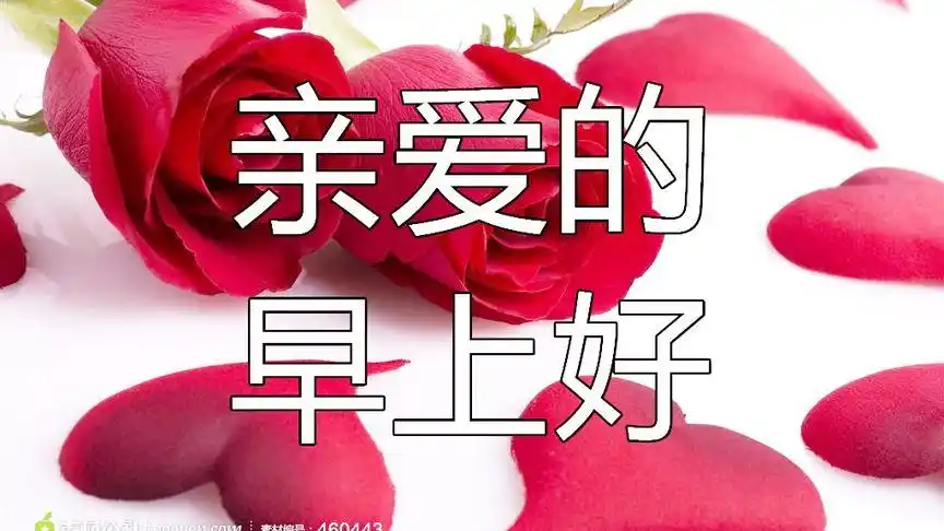 亲爱的早上好,睡得好吗?想你了,一首醉人的情歌送给最爱的你