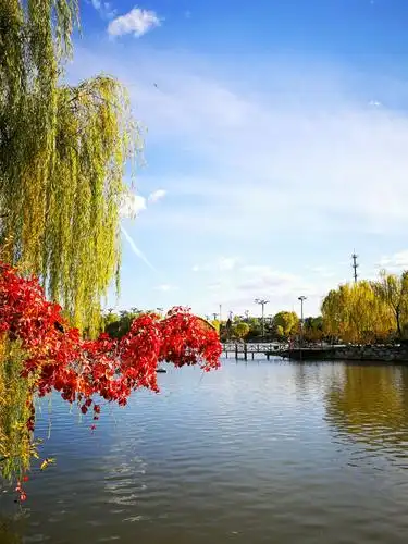 朗朗晴空景色好,美满大婚进行时