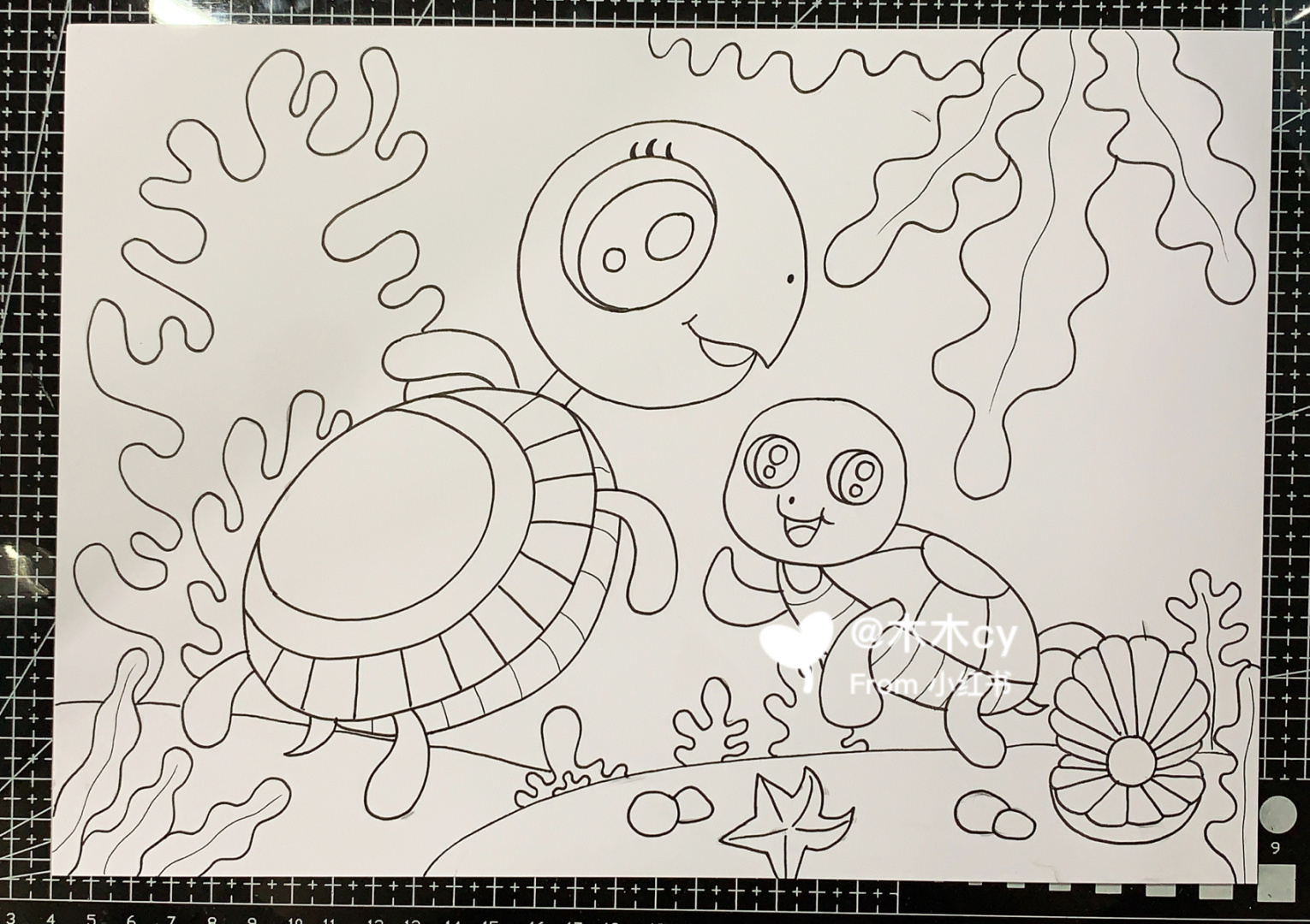 马克笔儿童画 | 海底世界 | 海龟 临摹 纸张:荷兰白卡 马克笔:多乐绘
