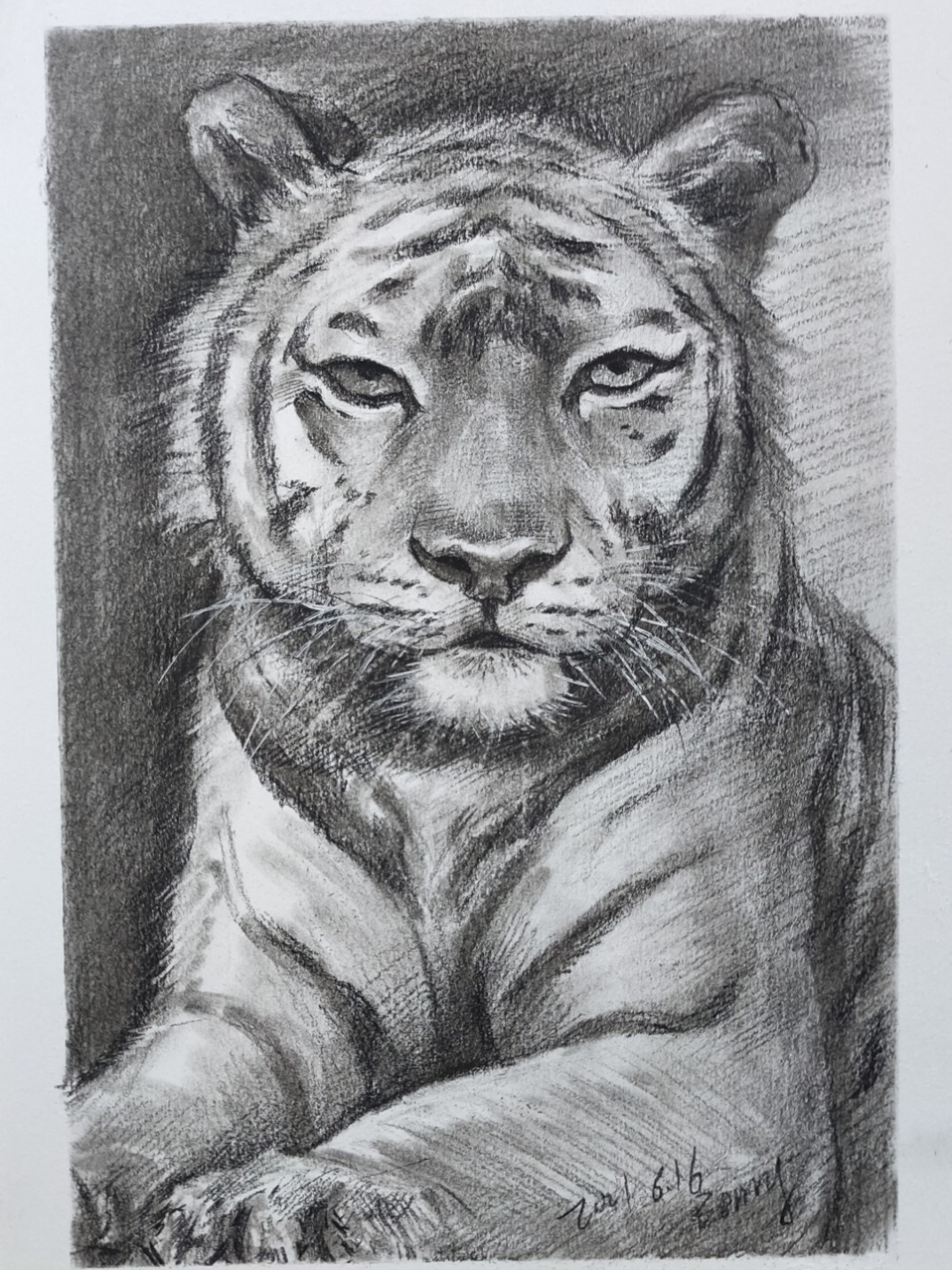 使用工具:康颂素描纸,马利炭笔 绘画步骤 第一步轻轻找位置,比例,画出