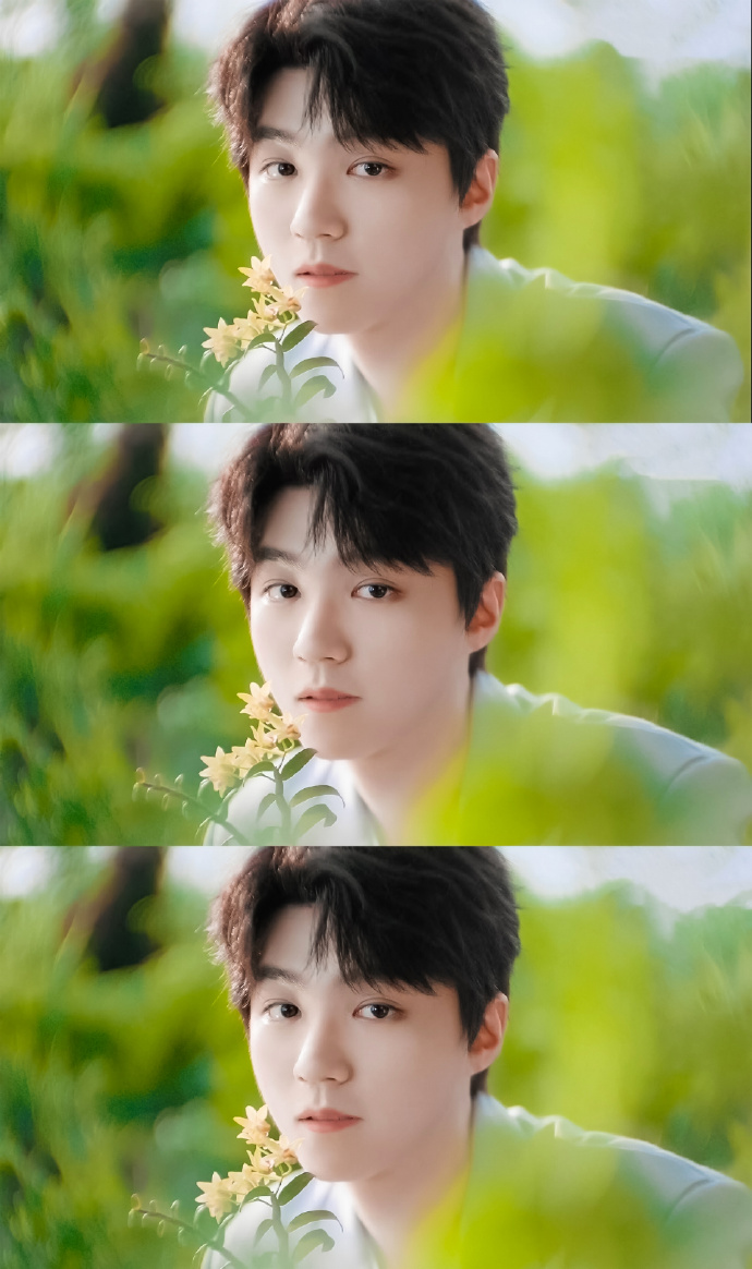 王俊凯超话|#王俊凯代言植物医生