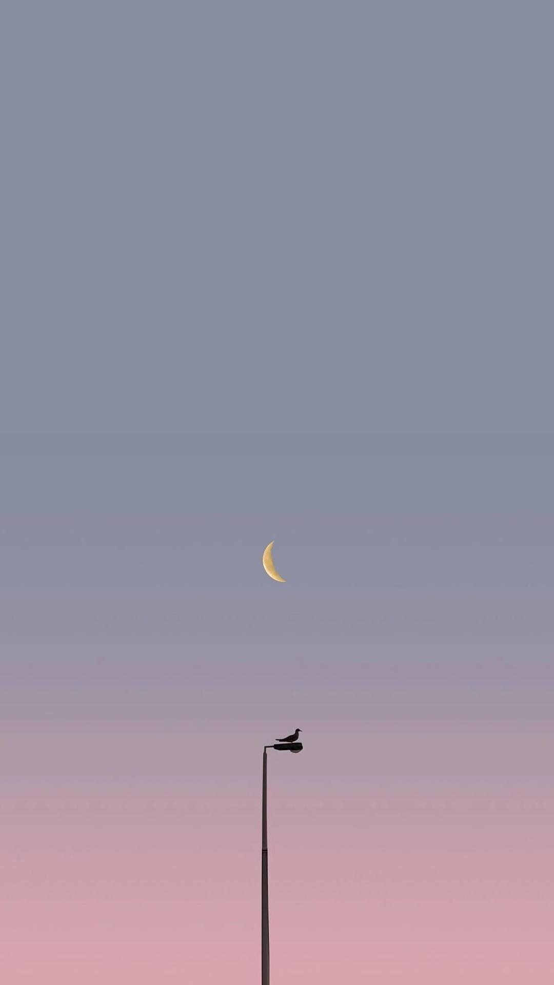 神仙ins风温柔治愈仙女背景图