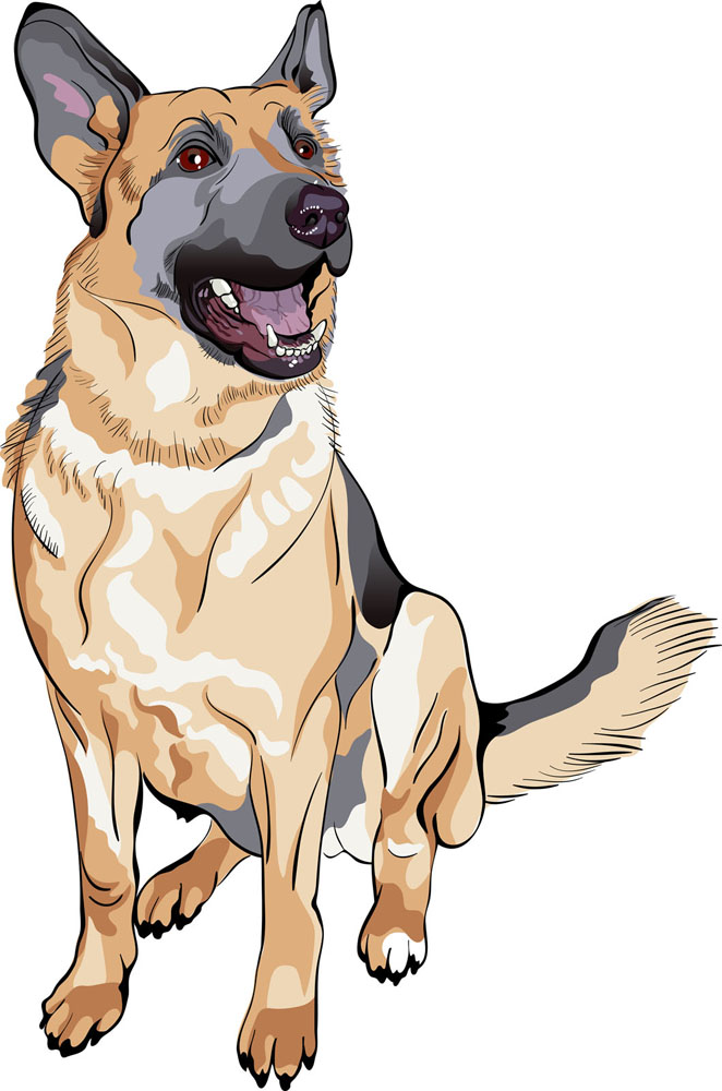 18年飞上枝头变凤凰的三大生肖,从艰难中踏出一条成功之路!