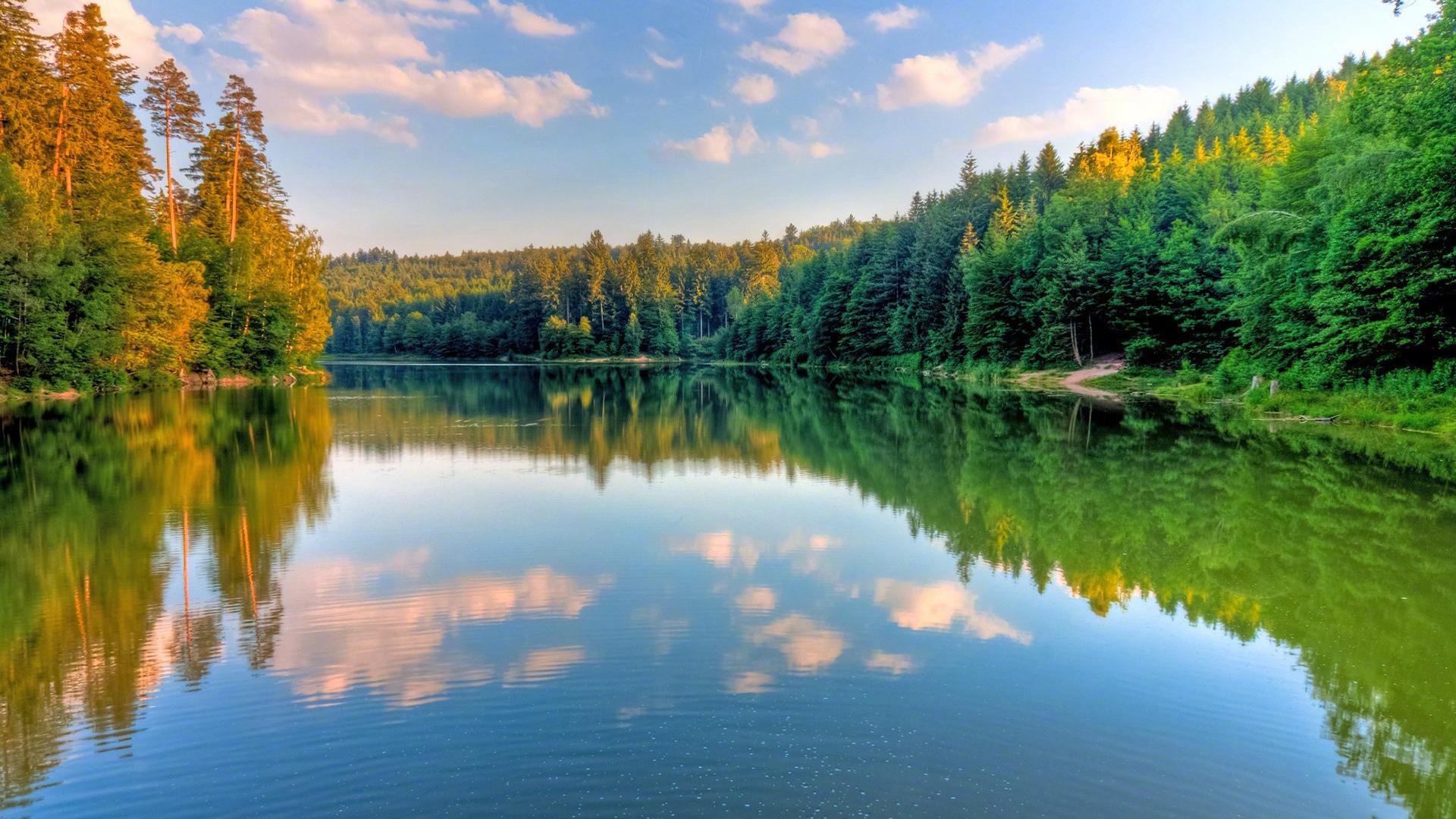 绿色清新护眼自然风景桌面壁纸