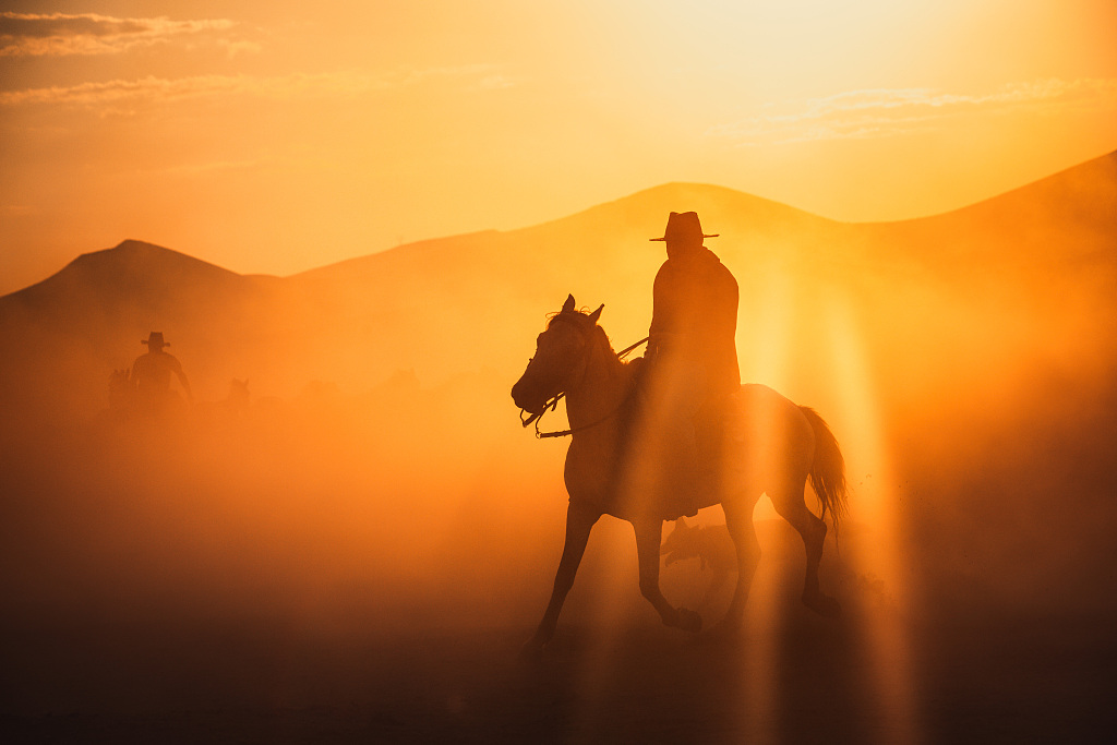 当地人通常会从自己的土地上驱赶或者射杀这些野马
