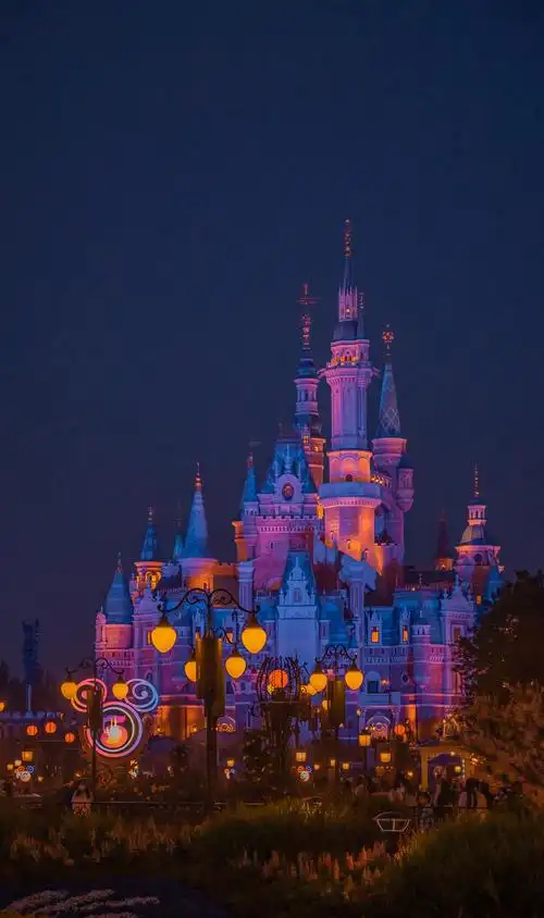 美丽的上海迪士尼风光,图库-回车桌面