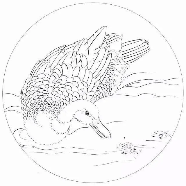 中国传统白描图谱――鸭子