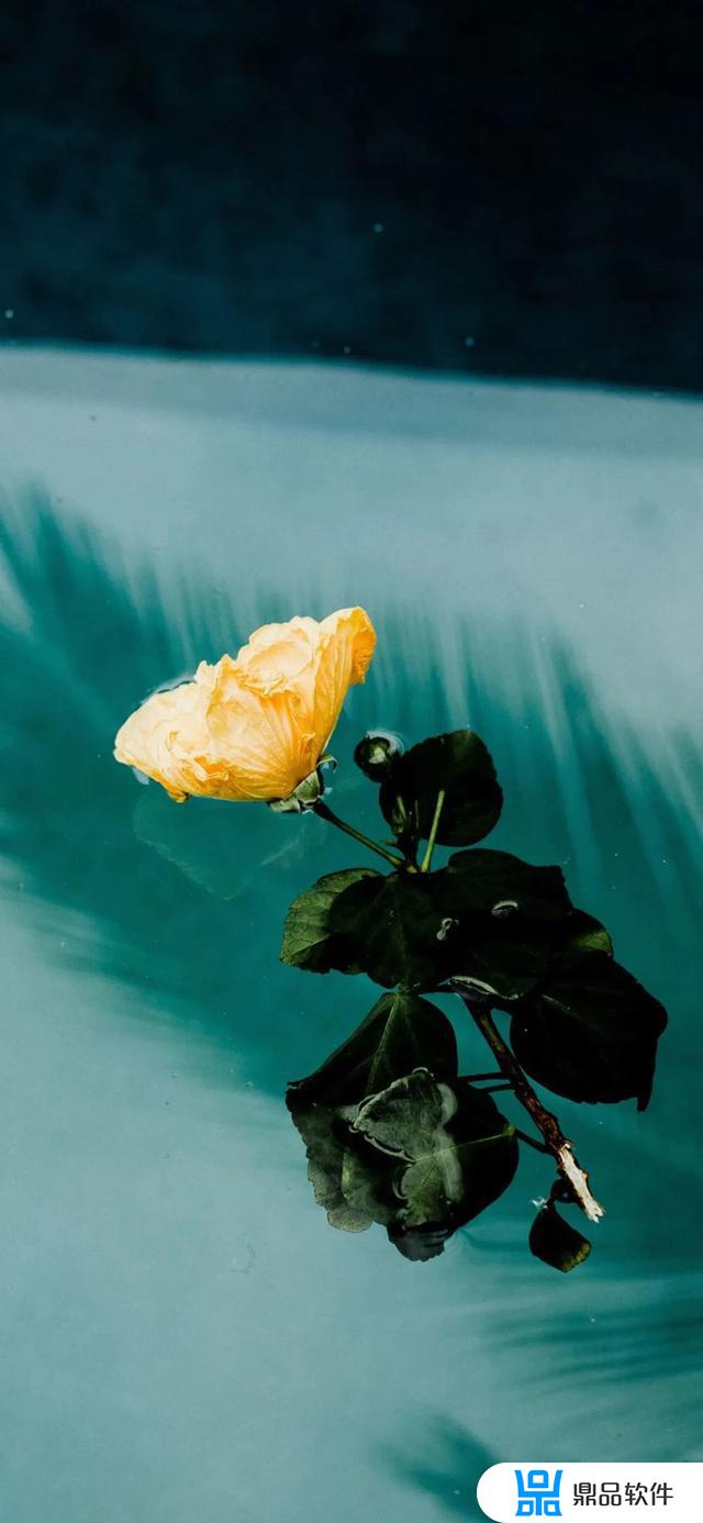 抖音网红壁纸最流行(抖音网红壁纸最流行图片)