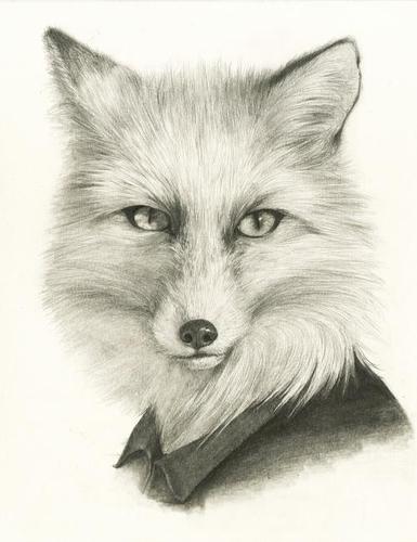 狐狸简笔画素描