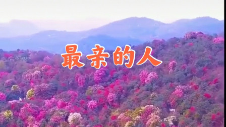 歌曲《最亲的人》