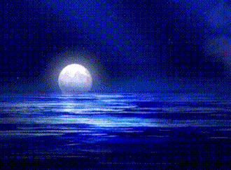 爸妈们快收藏_月亮