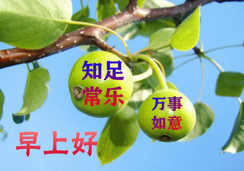 最漂亮早上好动态表情图片大全早晨好动图美图大全