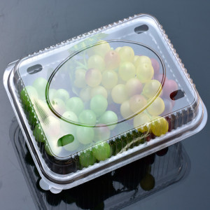 水果塑料包装盒1000图片